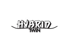 Hybrid Twin