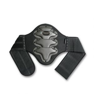 BACK SUPPORT WITH BELT